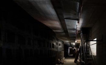 découvrez tout sur l'isolation : techniques, matériaux et conseils pour améliorer l'efficacité énergétique de votre habitation tout en réduisant vos factures d'énergie.