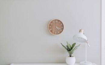 transformez votre intérieur avec un mur de plantes d'intérieur, une solution esthétique et écologique qui apporte une touche de nature à votre espace de vie. découvrez les bienfaits d'une paroi végétale, idéale pour améliorer la qualité de l'air et créer une ambiance apaisante.