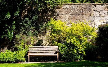 découvrez notre banc de jardin, alliant confort et élégance, parfait pour embellir votre extérieur. fabriqué avec des matériaux durables, il est idéal pour profiter de moments de détente en plein air.