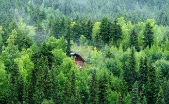 découvrez l'univers enchanteur des treehouses, ces cabanes perchées dans les arbres, où nature et confort se rencontrent. parfaites pour des escapades en famille ou des retraites romantiques, nos treehouses offrent une expérience unique au cœur de la forêt. réveillez-vous dans les branches et profitez d'une vue imprenable tout en vous ressourçant loin du tumulte quotidien.