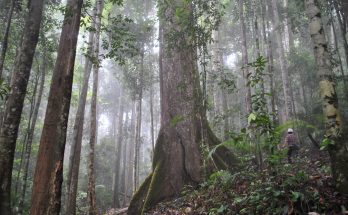 découvrez des matériaux durables qui révolutionnent l'industrie. explorez des alternatives écologiques, réduisez votre empreinte carbone et optez pour des solutions respectueuses de l'environnement.